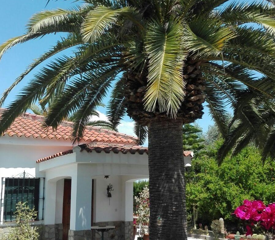 ¡CHALET EN VENTA EN URBANIZACION PRADOLLANO!