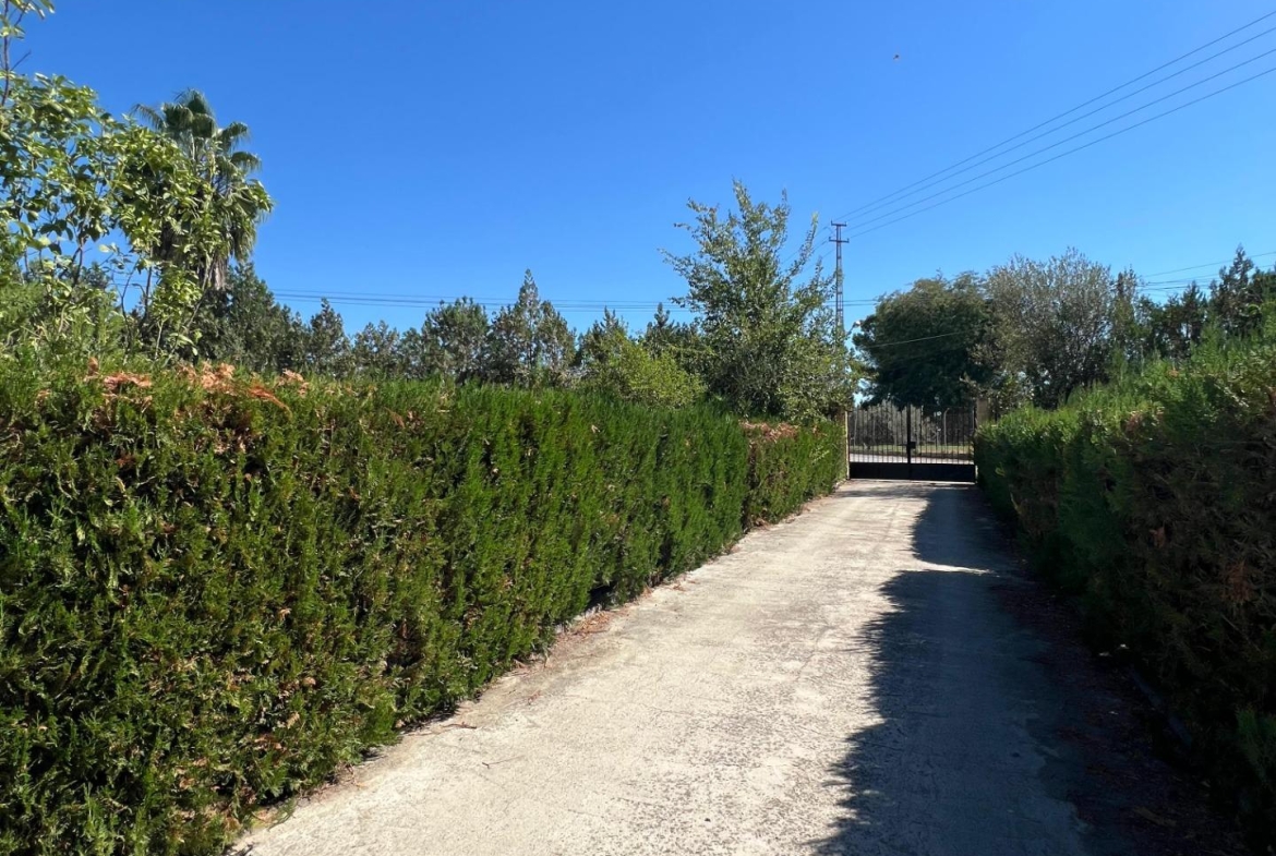 ¡MAGNIFICA PARCELA EN VENTA EN EL CORZO!