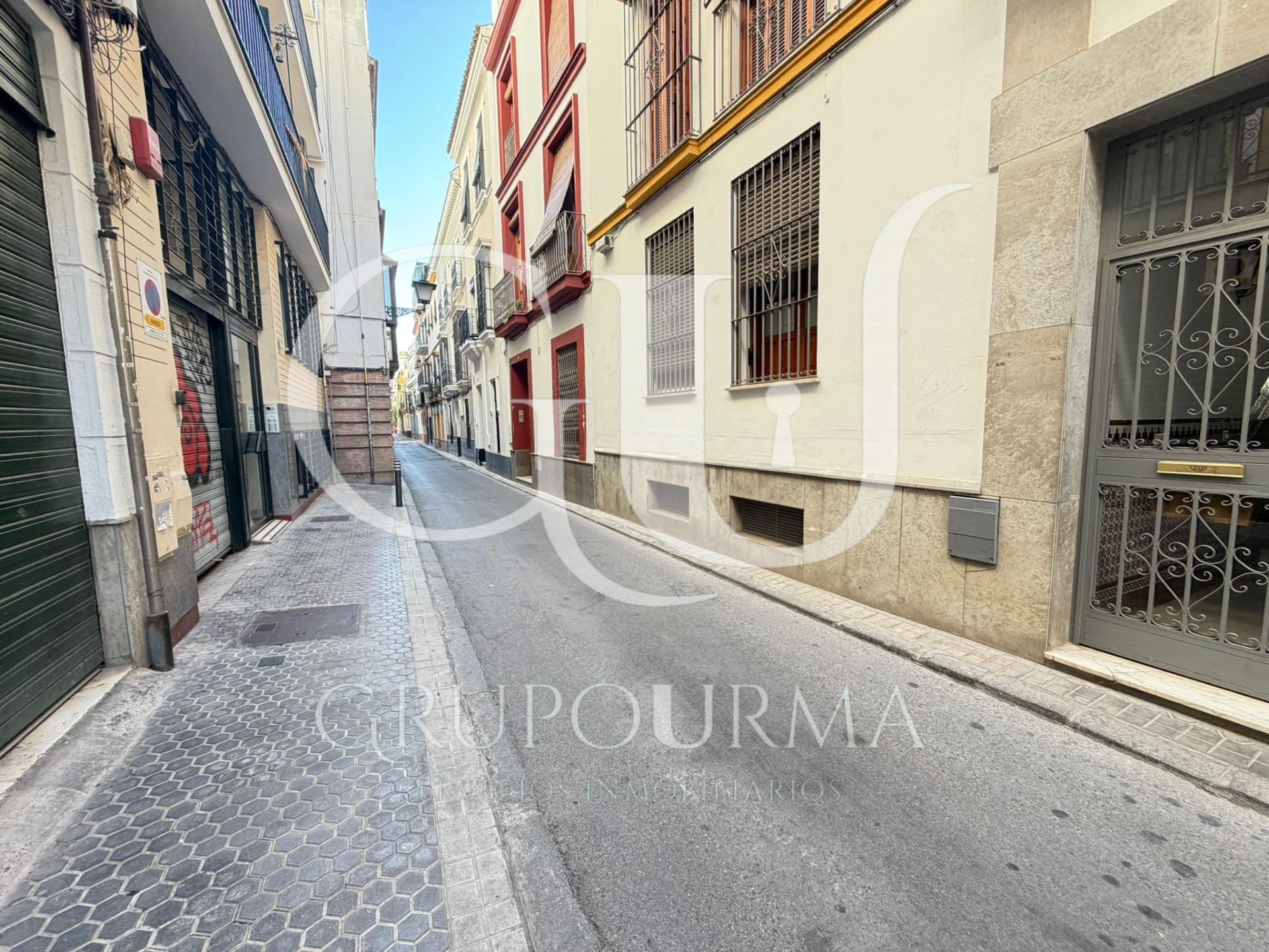 ¡MARAVILLOSO PISO EN SAN VICENTE!