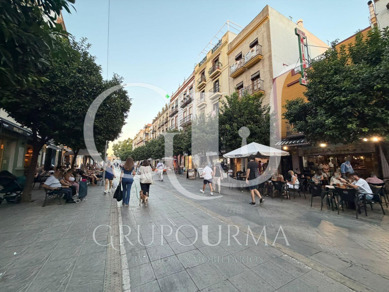 ¡ESTUPENDO PISO EN VENTA EN EL CORAZON DE TRIANA!